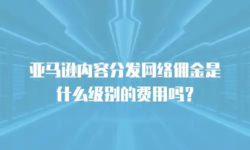 亚马逊内容分发网络佣金是什么级别的费用吗？