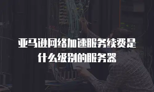 亚马逊网络加速服务续费是什么级别的服务器