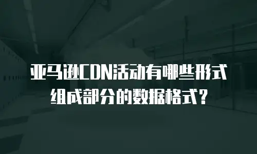 亚马逊CDN活动有哪些形式组成部分的数据格式？
