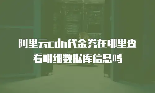 阿里云cdn代金券在哪里查看明细数据库信息吗