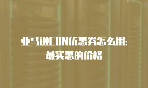 亚马逊CDN优惠券怎么用：最实惠的价格