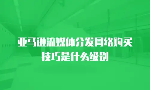 亚马逊流媒体分发网络购买技巧是什么级别