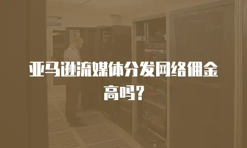 亚马逊流媒体分发网络佣金高吗？