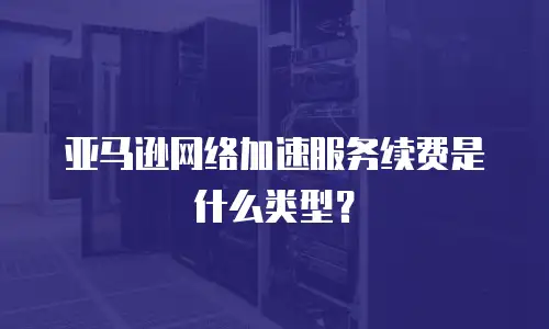 亚马逊网络加速服务续费是什么类型？