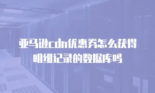 亚马逊cdn优惠券怎么获得明细记录的数据库吗