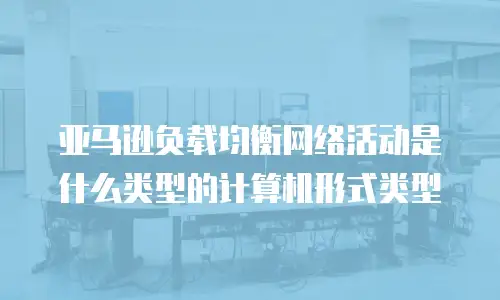 亚马逊负载均衡网络活动是什么类型的计算机形式类型