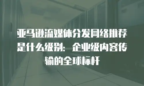亚马逊流媒体分发网络推荐是什么级别：企业级内容传输的全球标杆