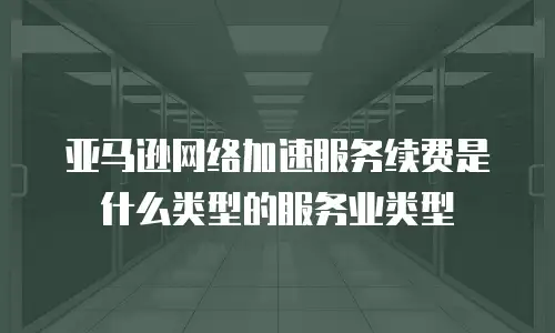 亚马逊网络加速服务续费是什么类型的服务业类型