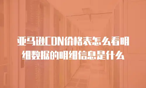 亚马逊CDN价格表怎么看明细数据的明细信息是什么