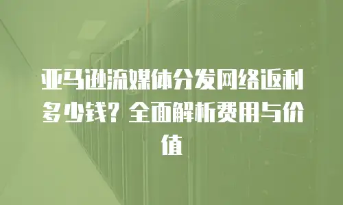 亚马逊流媒体分发网络返利多少钱？全面解析费用与价值