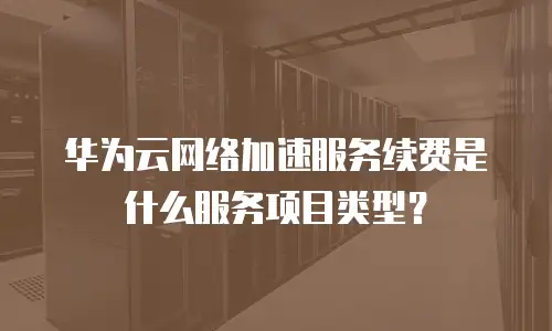 华为云网络加速服务续费是什么服务项目类型？