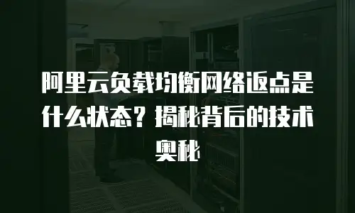 阿里云负载均衡网络返点是什么状态？揭秘背后的技术奥秘