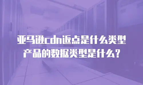 亚马逊cdn返点是什么类型产品的数据类型是什么？