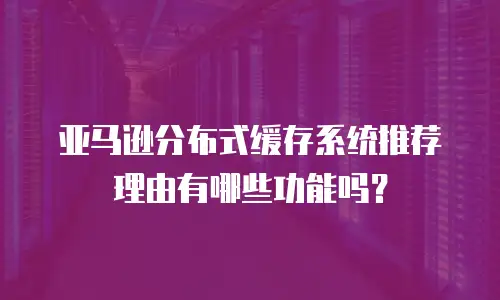 亚马逊分布式缓存系统推荐理由有哪些功能吗？