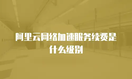 阿里云网络加速服务续费是什么级别