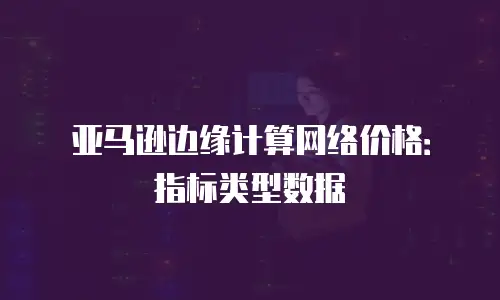 亚马逊边缘计算网络价格：指标类型数据