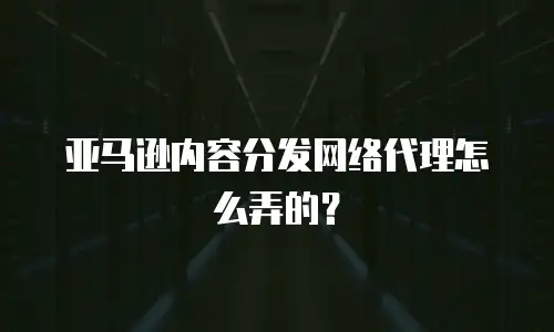 亚马逊内容分发网络代理怎么弄的？