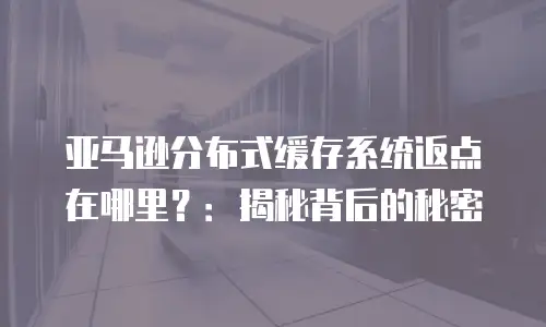 亚马逊分布式缓存系统返点在哪里？：揭秘背后的秘密