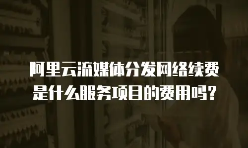 阿里云流媒体分发网络续费是什么服务项目的费用吗？