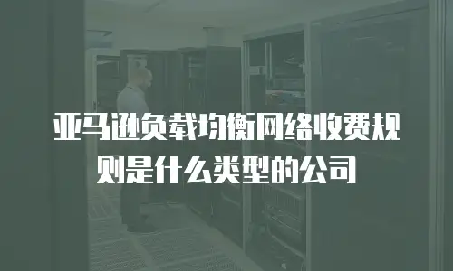 亚马逊负载均衡网络收费规则是什么类型的公司
