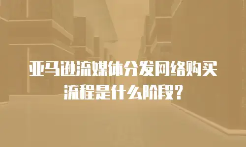 亚马逊流媒体分发网络购买流程是什么阶段？