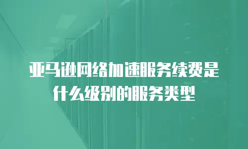亚马逊网络加速服务续费是什么级别的服务类型
