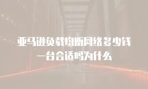 亚马逊负载均衡网络多少钱一台合适吗为什么