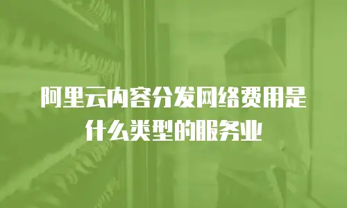 阿里云内容分发网络费用是什么类型的服务业