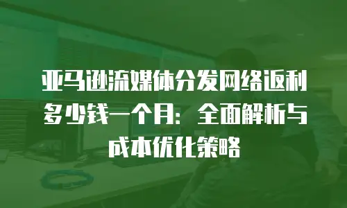 亚马逊流媒体分发网络返利多少钱一个月：全面解析与成本优化策略