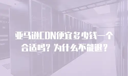 亚马逊CDN便宜多少钱一个合适吗？为什么不能退？