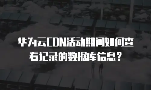 华为云CDN活动期间如何查看记录的数据库信息？