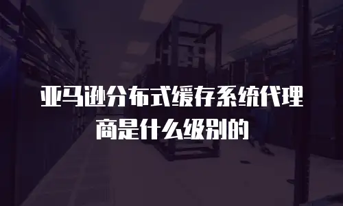 亚马逊分布式缓存系统代理商是什么级别的