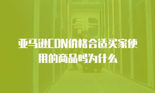 亚马逊CDN价格合适买家使用的商品吗为什么