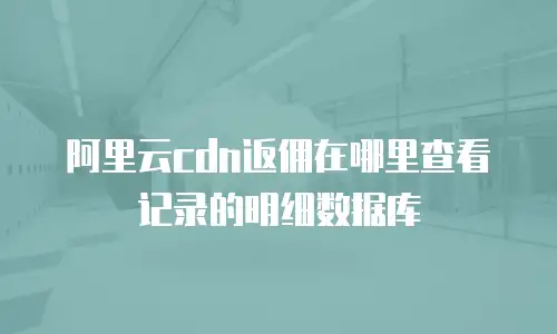 阿里云cdn返佣在哪里查看记录的明细数据库