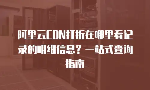 阿里云CDN打折在哪里看记录的明细信息？一站式查询指南