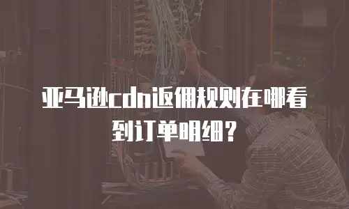 亚马逊cdn返佣规则在哪看到订单明细？