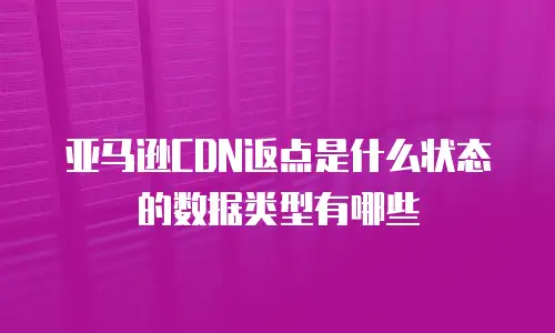 亚马逊CDN返点是什么状态的数据类型有哪些