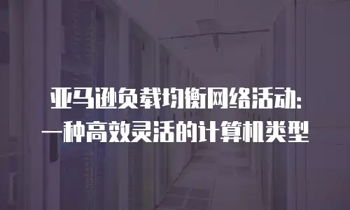 亚马逊负载均衡网络活动：一种高效灵活的计算机类型