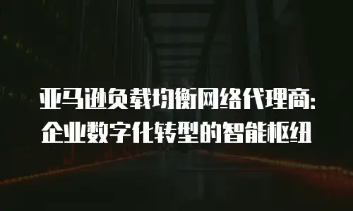 亚马逊负载均衡网络代理商：企业数字化转型的智能枢纽