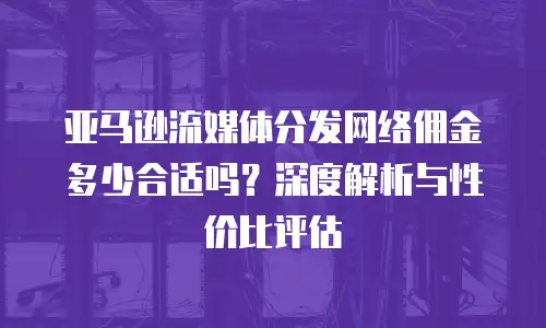 亚马逊流媒体分发网络佣金多少合适吗？深度解析与性价比评估