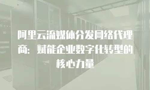 阿里云流媒体分发网络代理商：赋能企业数字化转型的核心力量