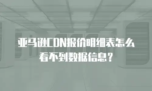 亚马逊CDN报价明细表怎么看不到数据信息？