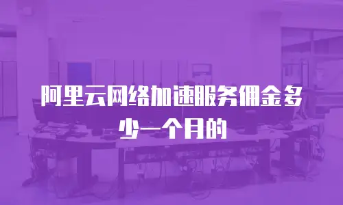 阿里云网络加速服务佣金多少一个月的