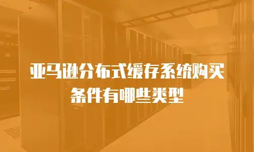 亚马逊分布式缓存系统购买条件有哪些类型