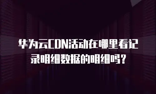 华为云CDN活动在哪里看记录明细数据的明细吗？
