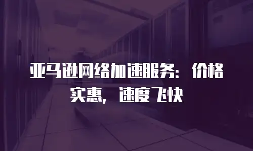 亚马逊网络加速服务：价格实惠，速度飞快