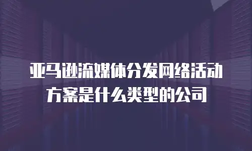 亚马逊流媒体分发网络活动方案是什么类型的公司