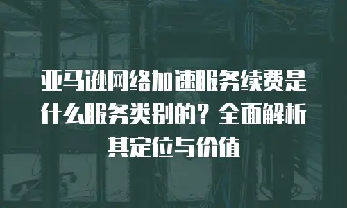亚马逊网络加速服务续费是什么服务类别的？全面解析其定位与价值