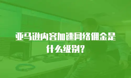 亚马逊内容加速网络佣金是什么级别？