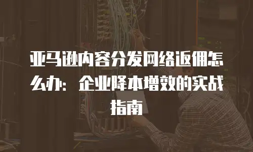 亚马逊内容分发网络返佣怎么办：企业降本增效的实战指南